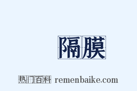 橫隔膜是什么意思的图片